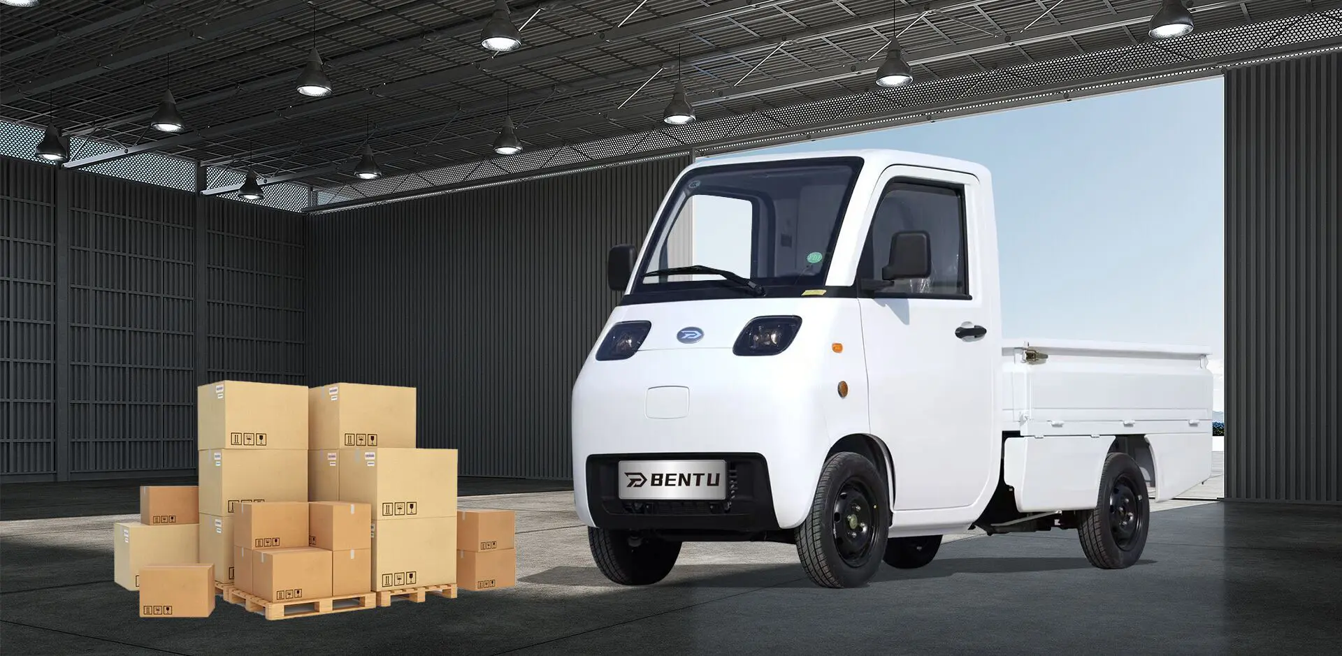 China Mini Personal Transportation Electric Vehicles Fournisseur